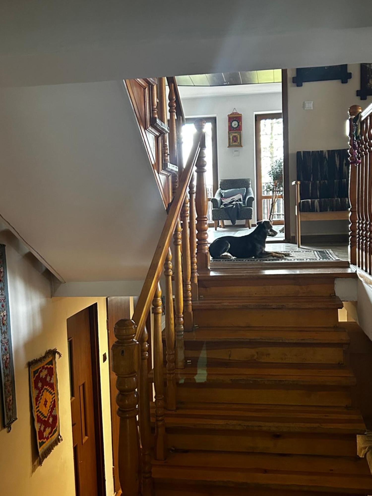 Willa Karolinka Stroza - Pet Friendly 麦伦尼塞 外观 照片